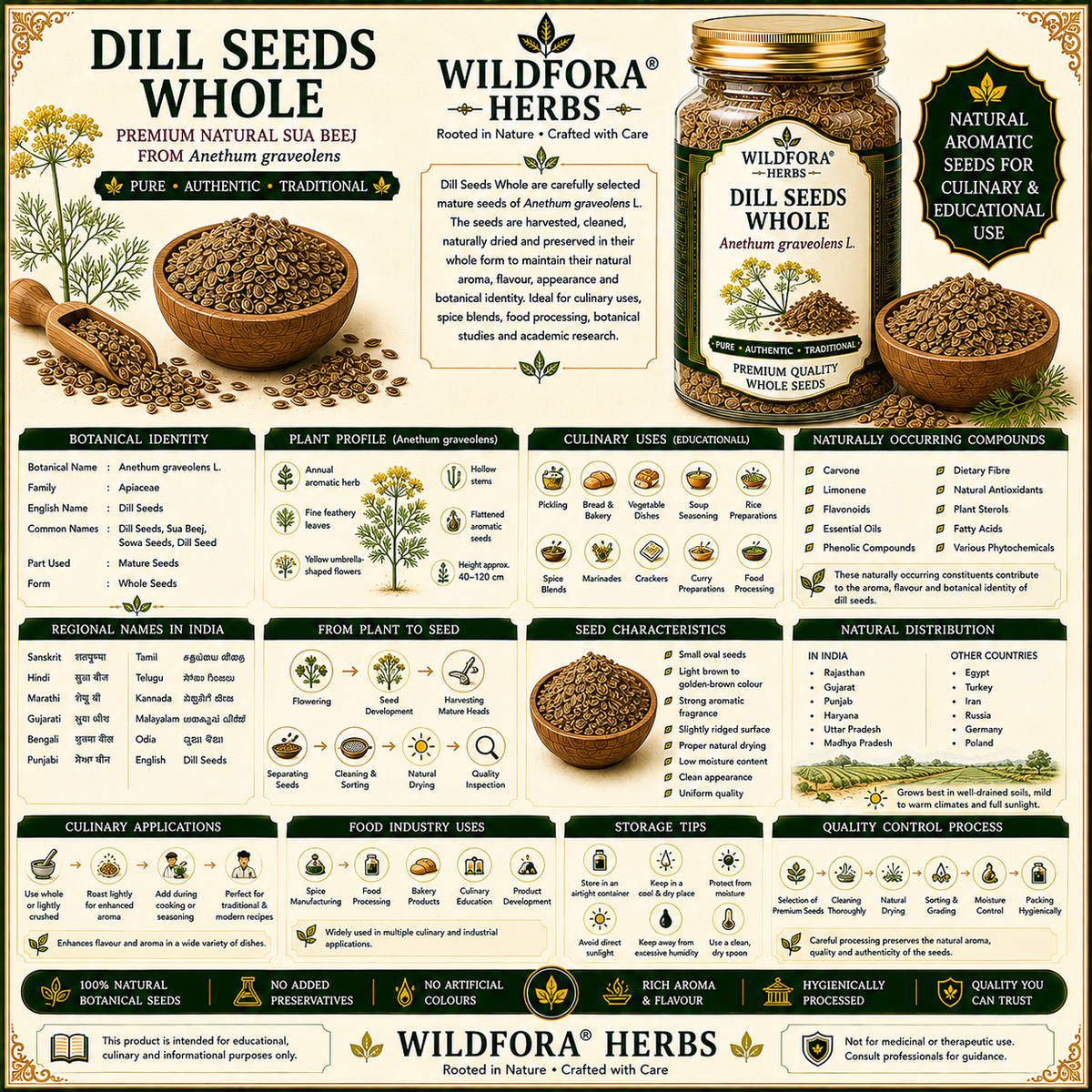Dill Seeds  Sua Beej Whole Anethum Graveolens Natural