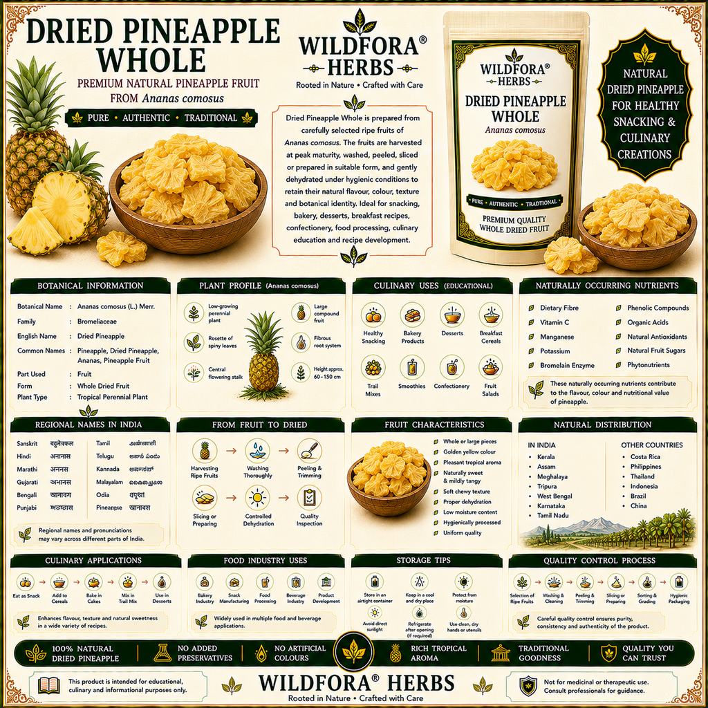 Dried Pineapple Whole Ananas Comosus Natural Pineapple Fruit