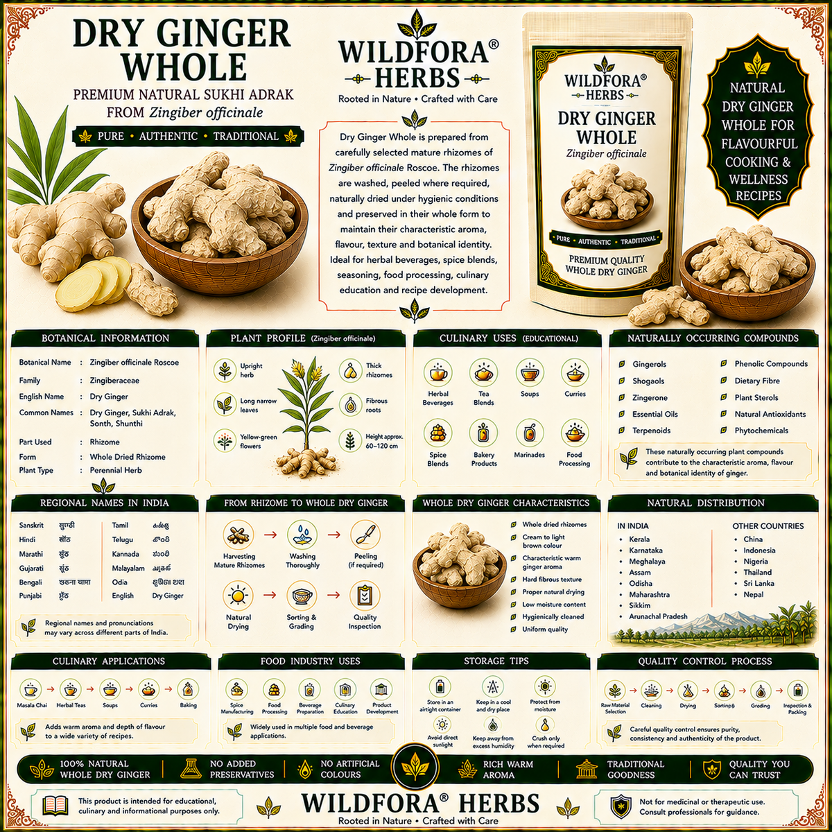 Dry_Ginger_Whole_Zingiber_Officinale_Natural_Sukhi_Adrak