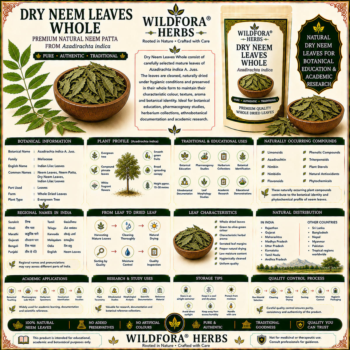 Dry Neem Leaves Whole Azadirachta Indica Natural Neem Patta