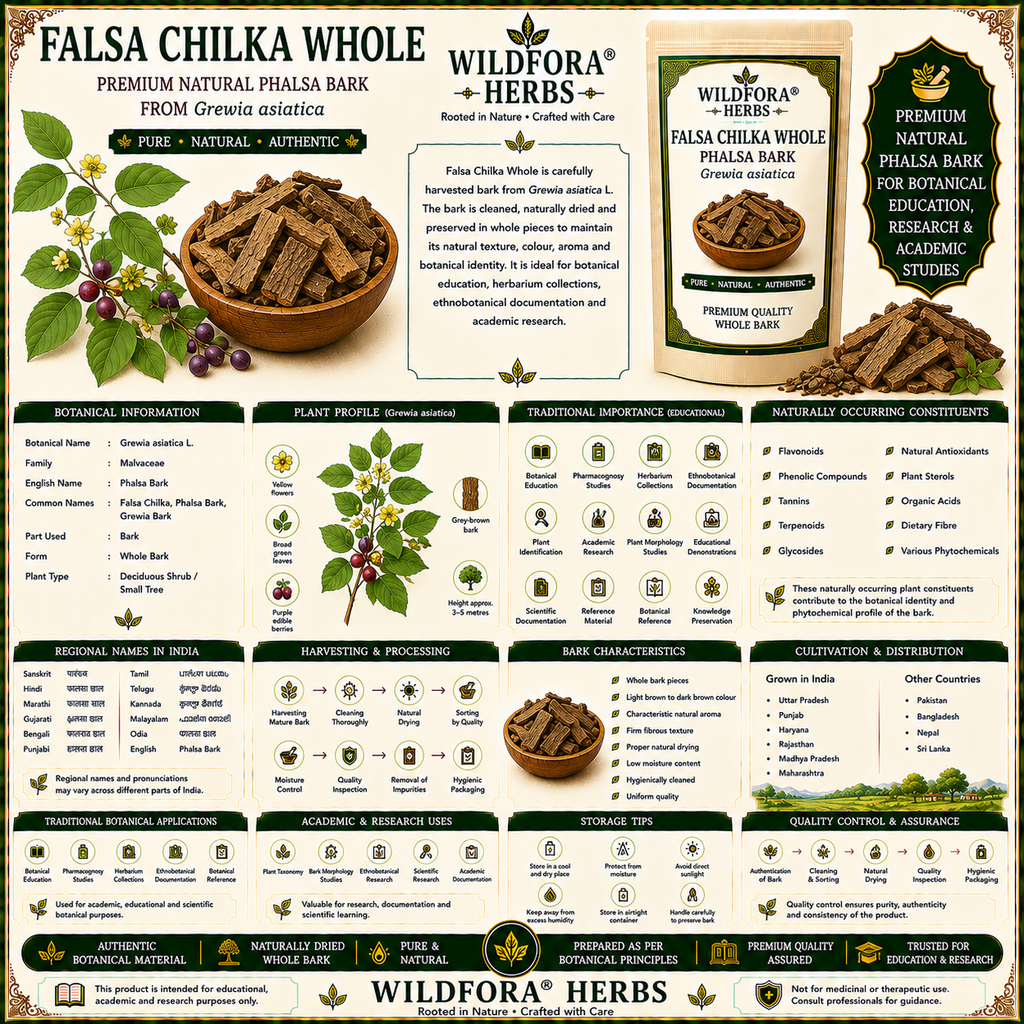 Falsa Chilka Phalsa Bark Grewia Asiatica Whole Herbal Product