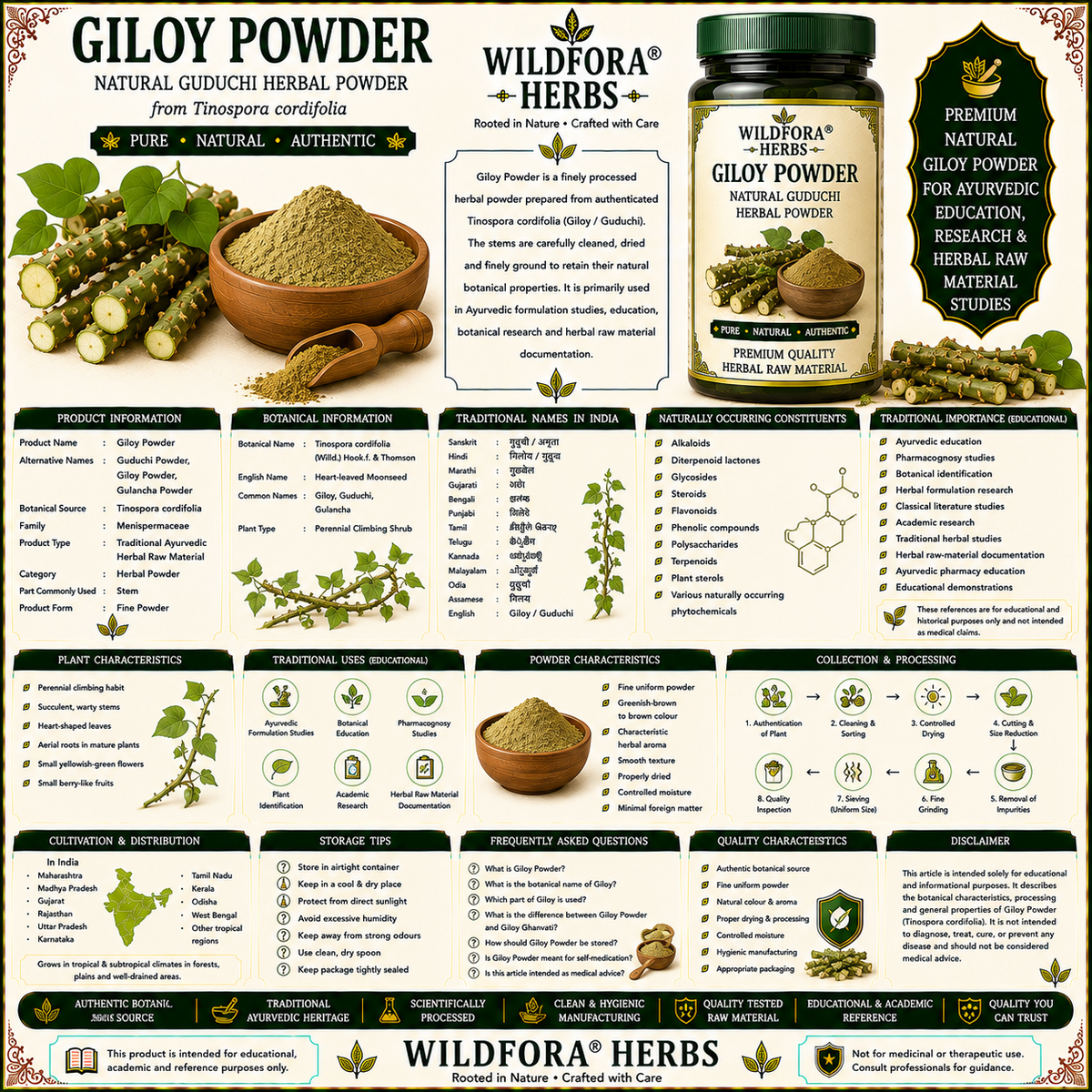 Giloy Powder Tinospora Cordifolia | Guduchi Herbal Powder