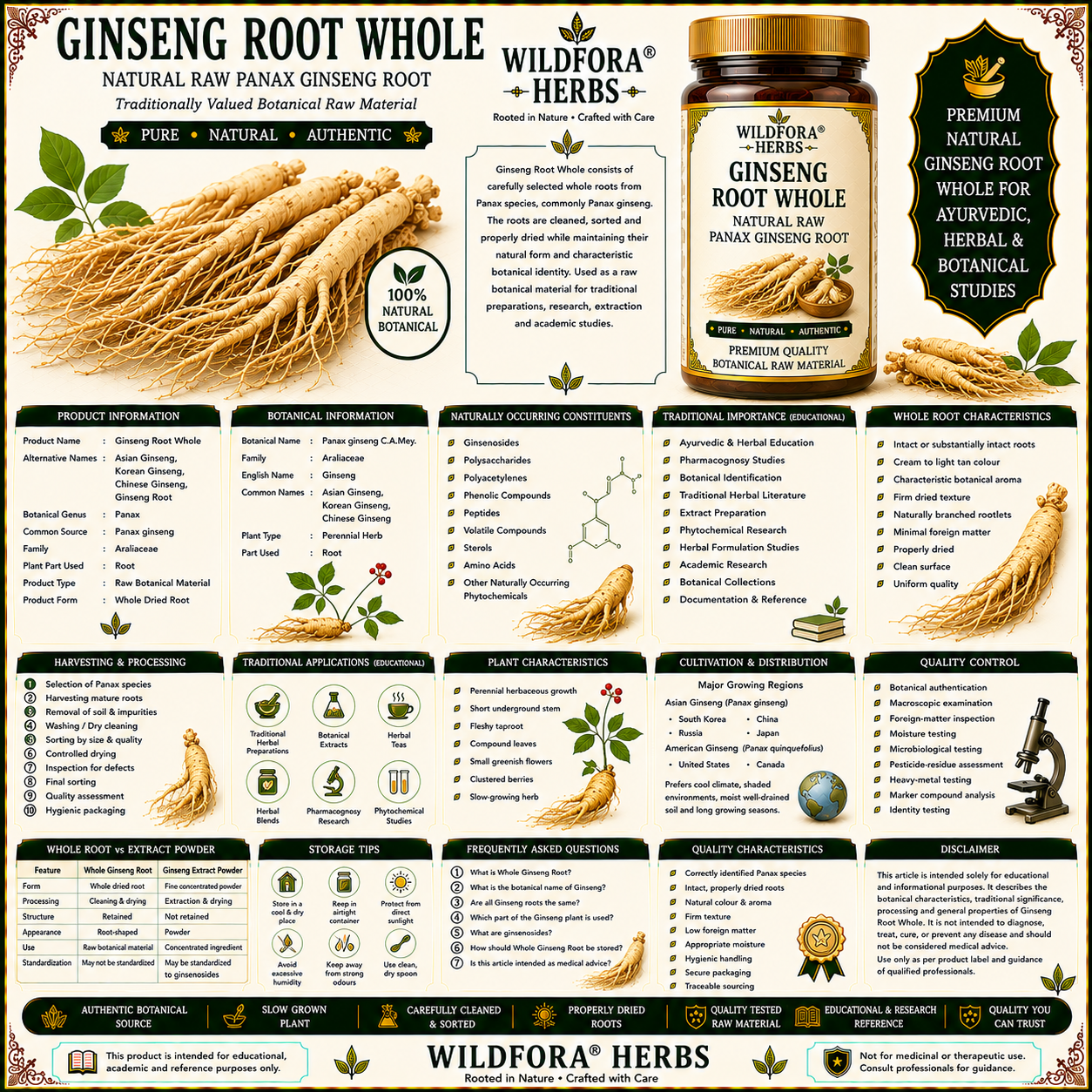 Ginseng Root Whole Panax Root Natural Raw Ginseng