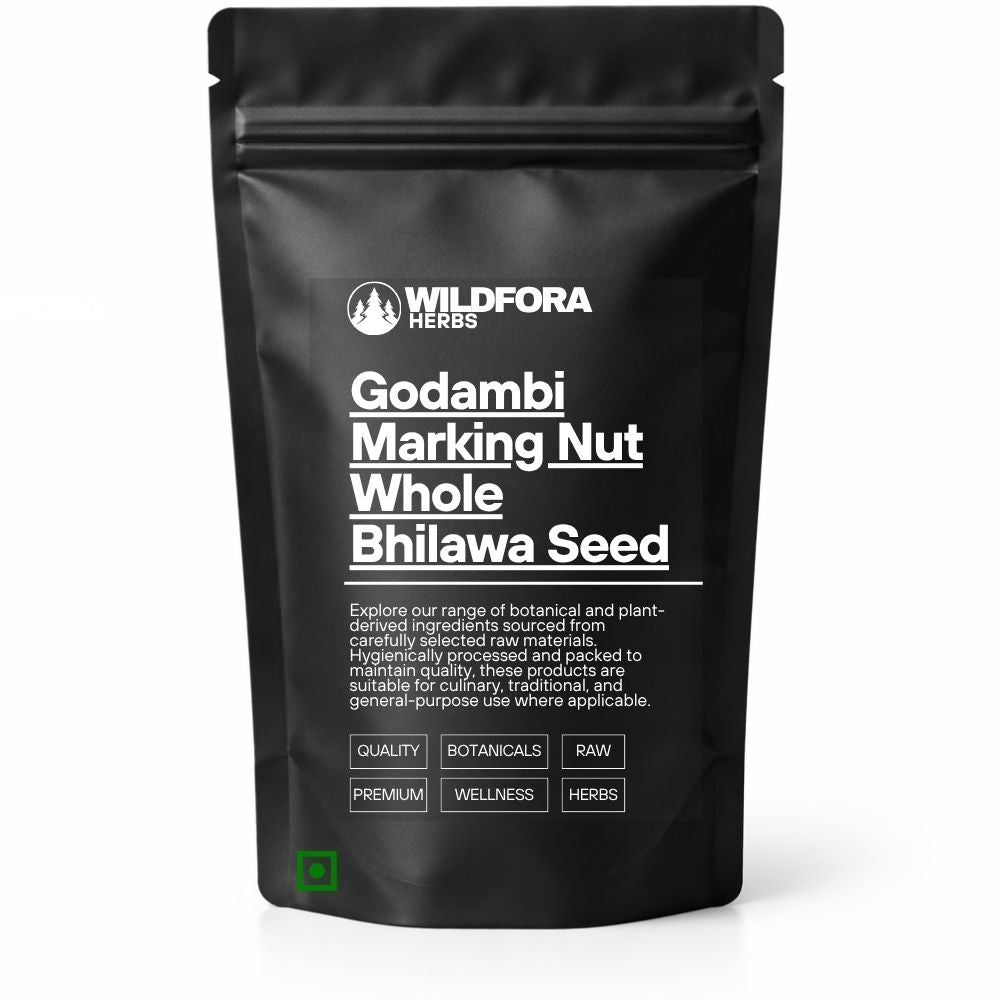 Godambi Marking Nut Whole (Semecarpus anacardium) - Premium Bhilawa Seed | Botanical Raw Material
