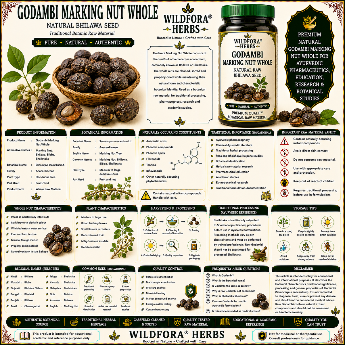 Godambi Marking Nut Whole Sem