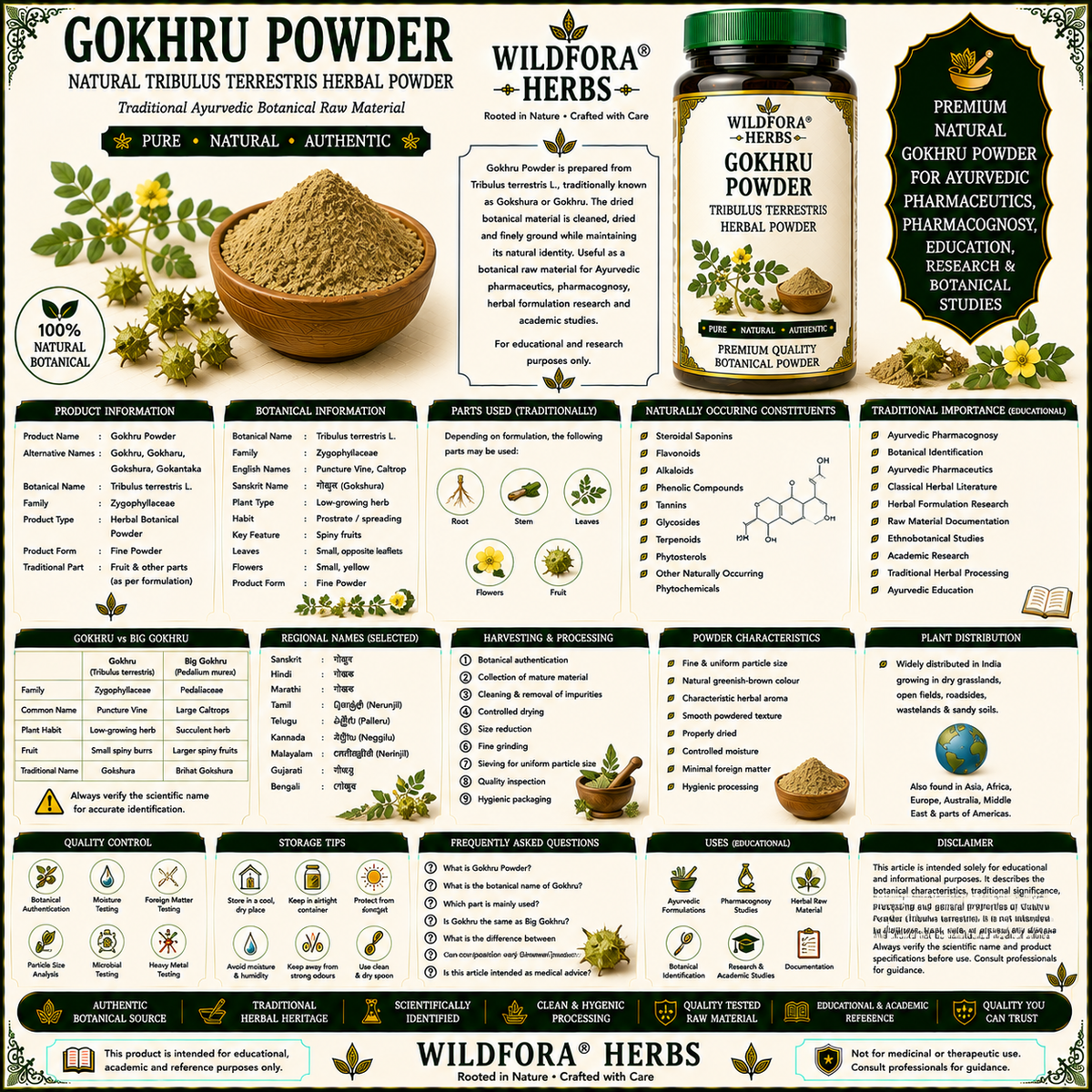 Gokhru Powder Tribulus Terrestris | Gokharu Herbal Powder