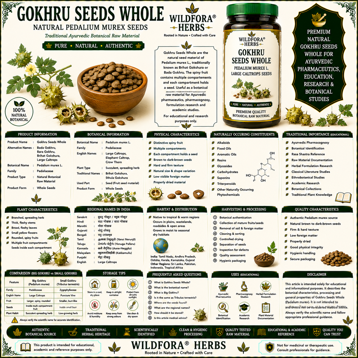 Gokhru Seeds Whole Pedalium Murex Natural Gokshura Caltrops