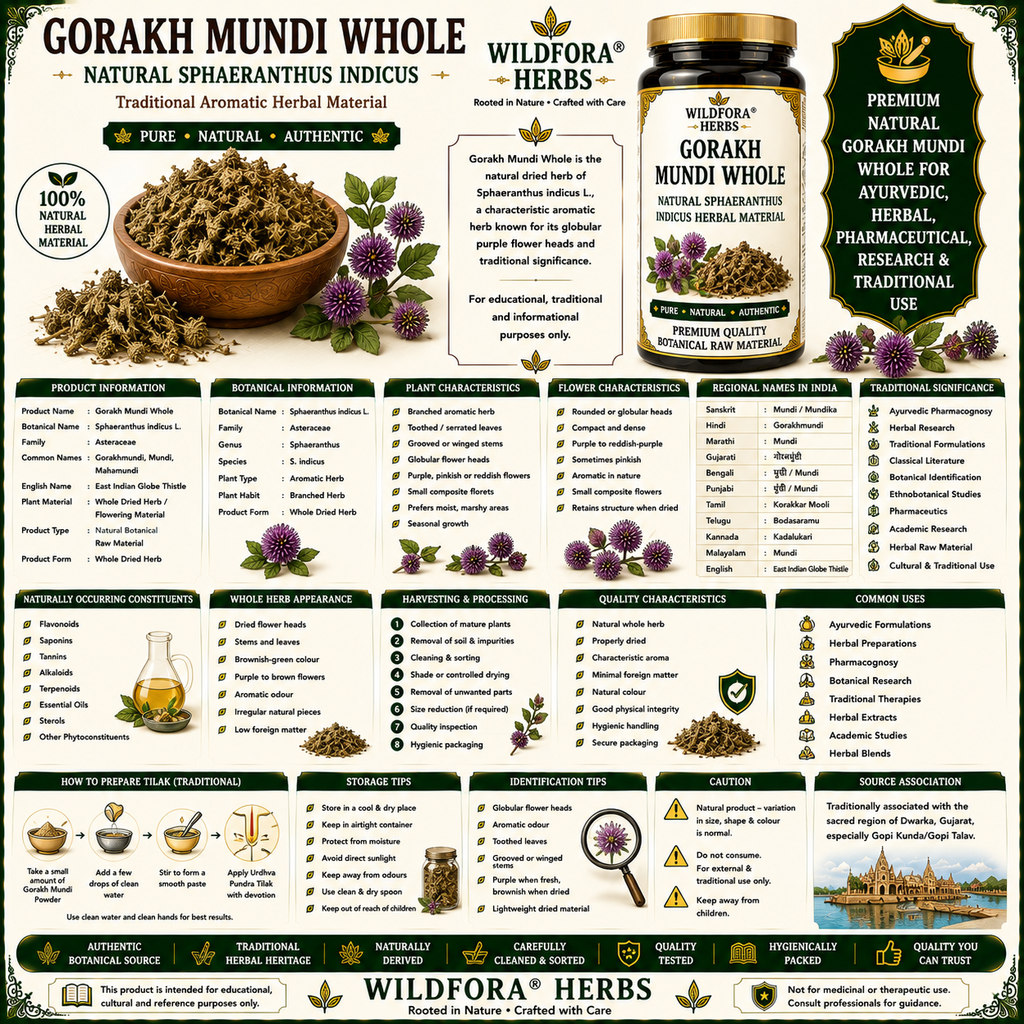 Gorakh Mundi Whole Sphaeranthus Indicus Natural Herbal Flower