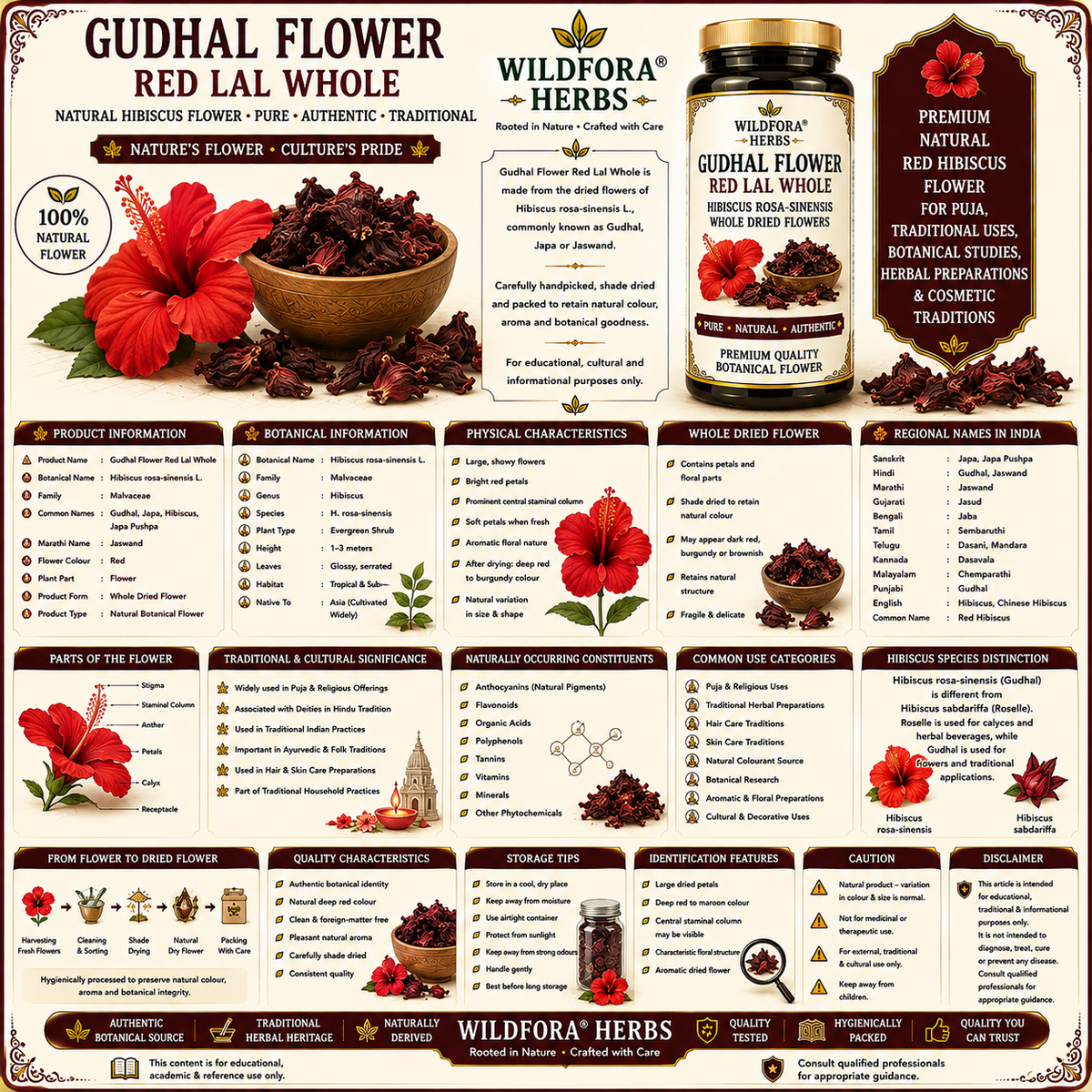 Gudhal_Flower_Red_Lal_Whole_Hibiscus_Rosa_Sinensis_Natural_Hibiscus_Flower