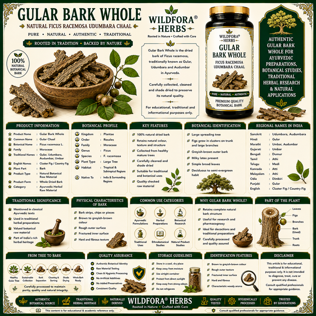 Gular Bark Whole Ficus Racemosa Natural Udumbara Chaal
