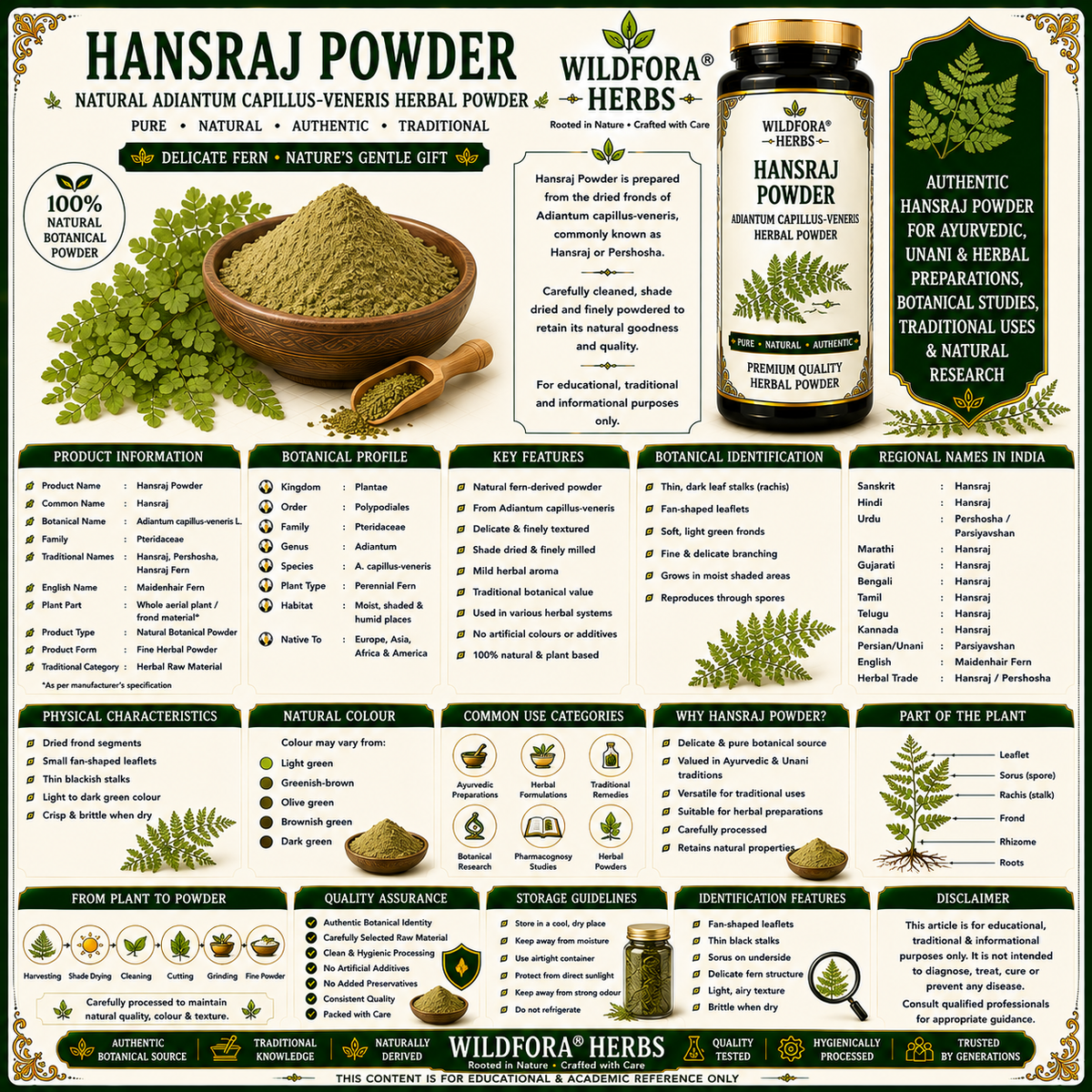 Hansraj Powder Adiantum Capillus Veneris | Pershosha Herbal Powder