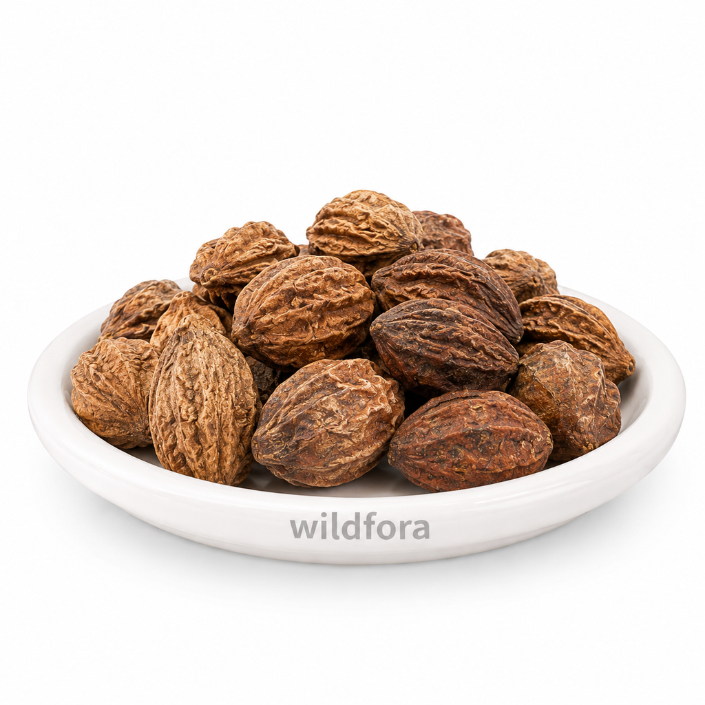 Harad Badi Whole (Terminalia chebula) - Premium Natural Haritaki Inknut | Food Grade Botanical Ingredient