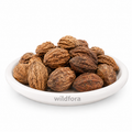 Harad Badi Whole (Terminalia chebula) - Premium Natural Haritaki Inknut | Food Grade Botanical Ingredient
