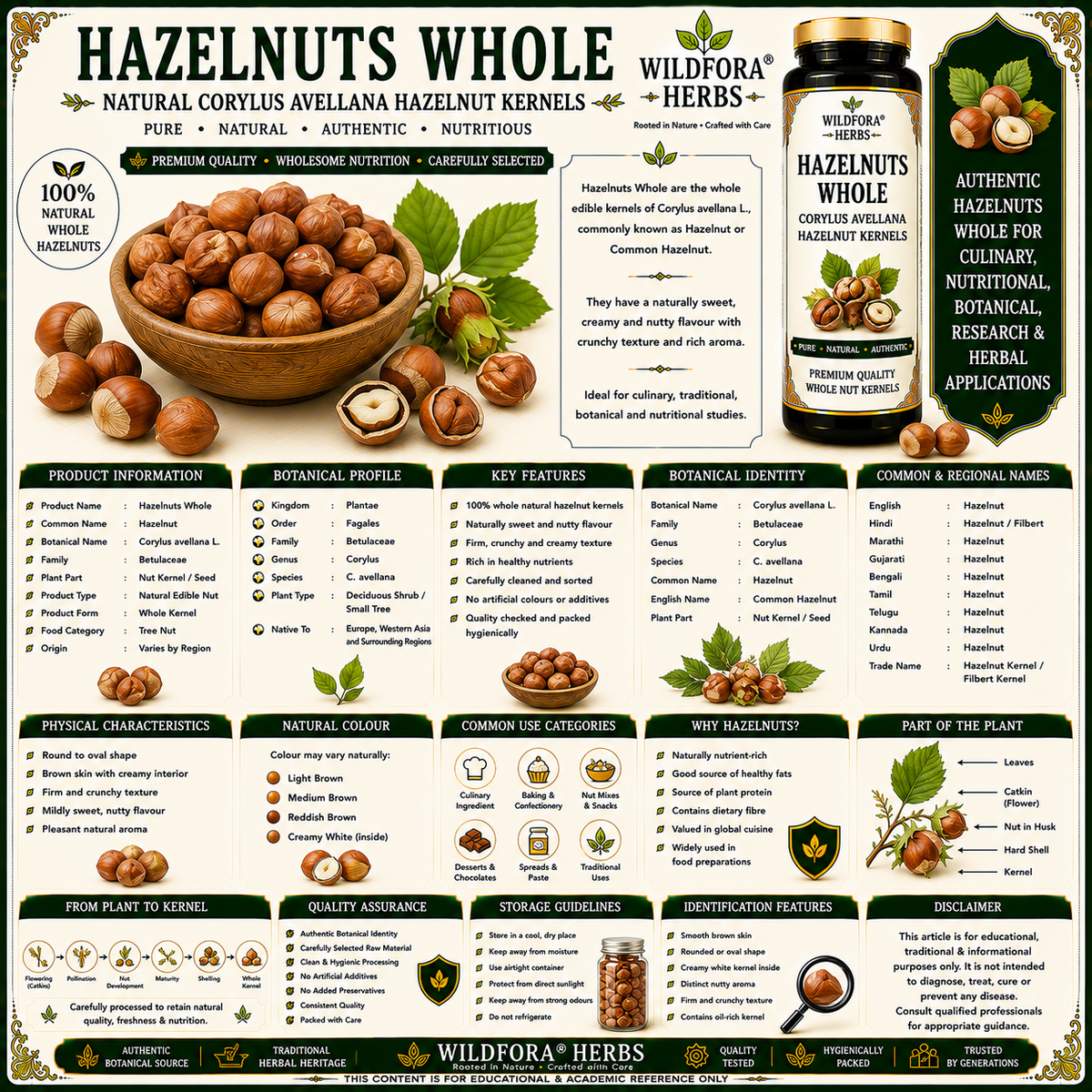 Hazelnuts_Whole_Corylus_Avellana_Natural_Hazelnut_Kernels