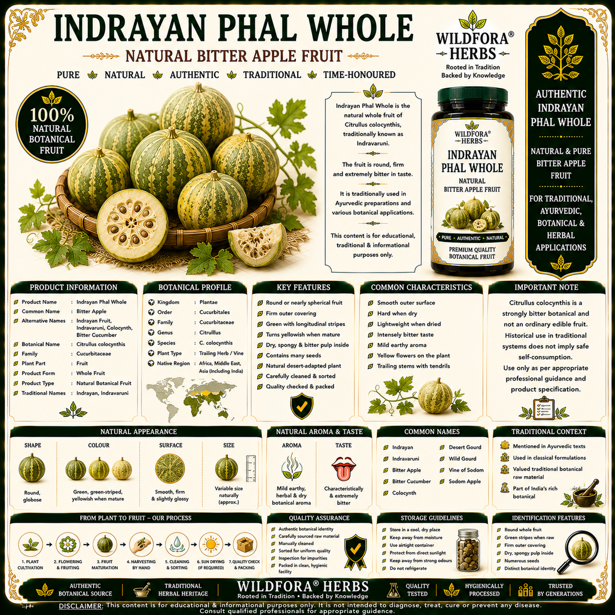 Indrayan Phal Citrullus Colocynthis Whole Bitter Apple Herbal Product
