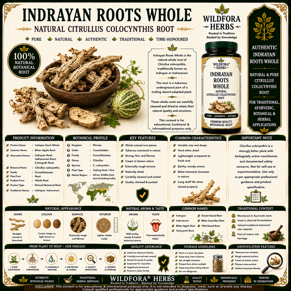 Indrayan Roots Citrullus Colocynthis Whole Bitter Apple Herbal Root