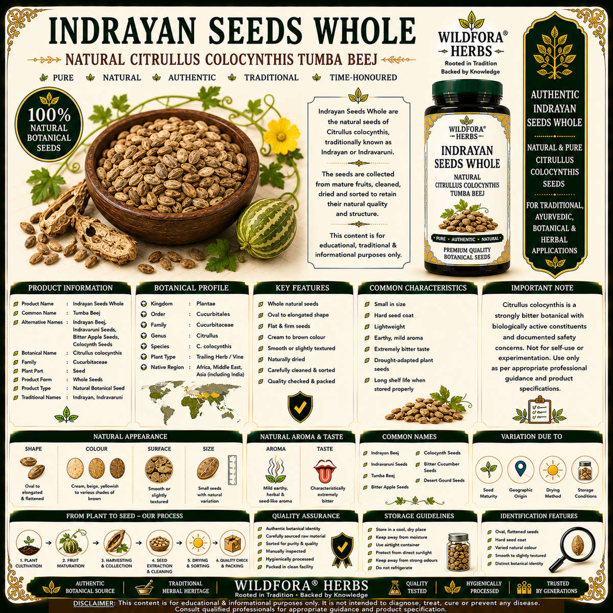Indrayan Seeds Whole Citrullus Colocynthis Natural Tumba Beej