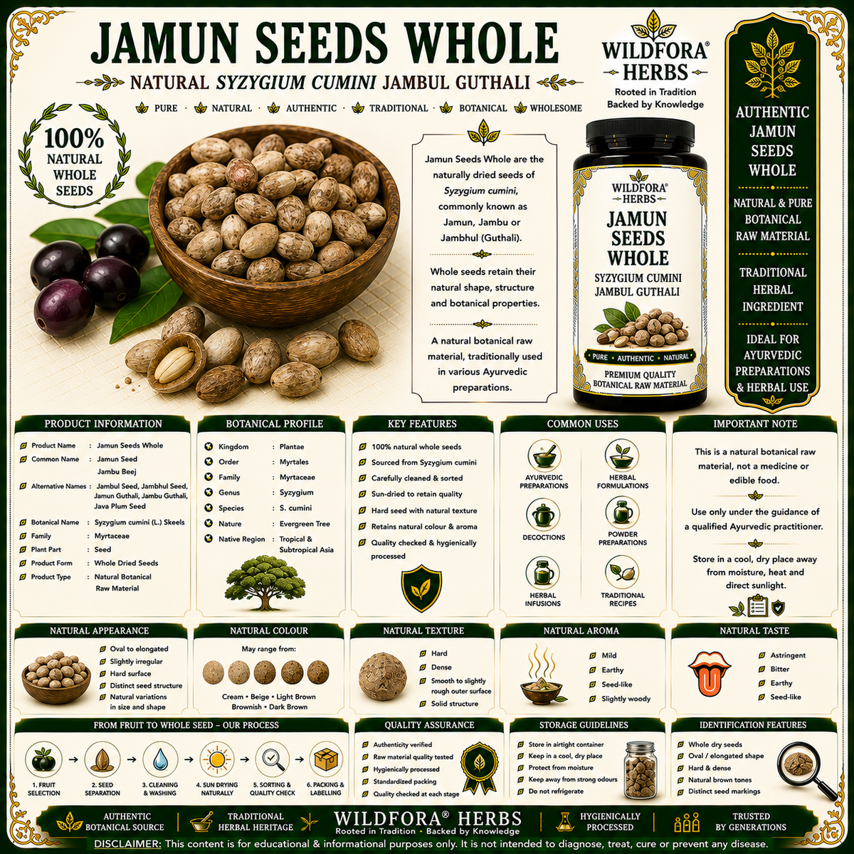 Jamun Seeds Whole Syzygium Cumini Natural Jambul Guthali