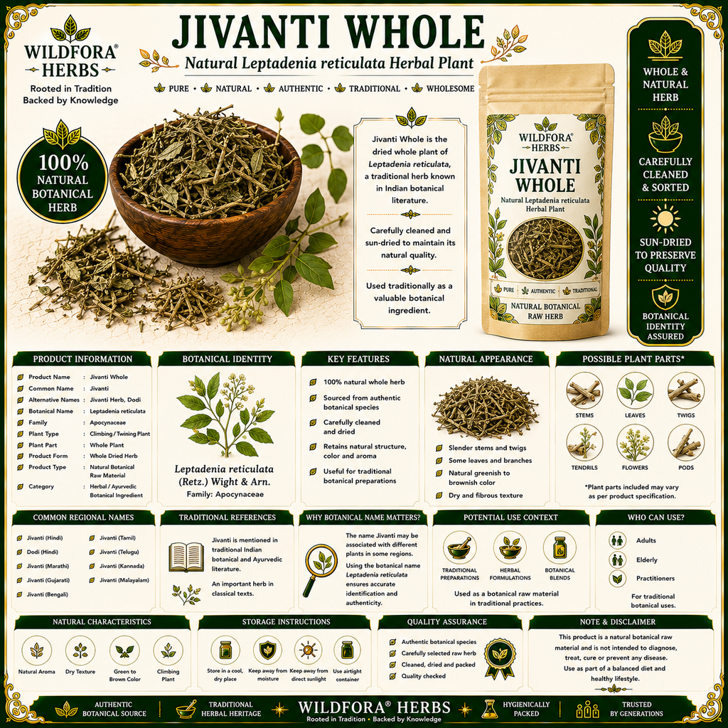 Jivanti Whole Leptadenia Reticulata Natural Herbal Plant
