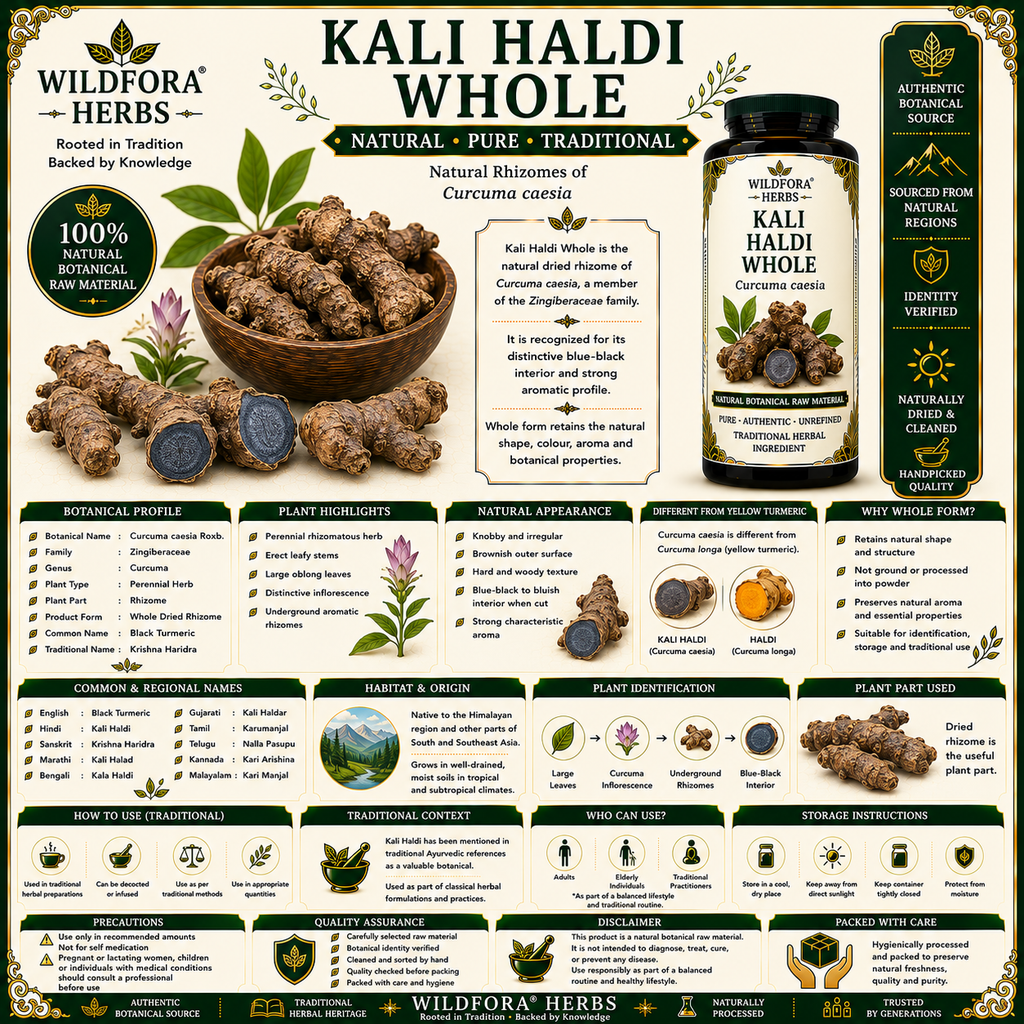 Kali Haldi Whole Curcuma Caesia Natural Black Turmeric Root
