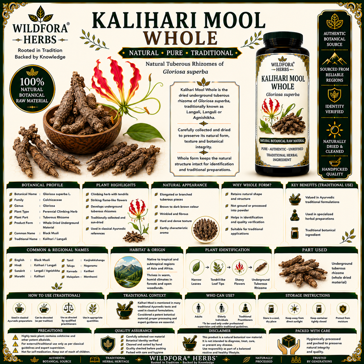 Kalihari Mool Whole Gloriosa Superba Natural Langali Root