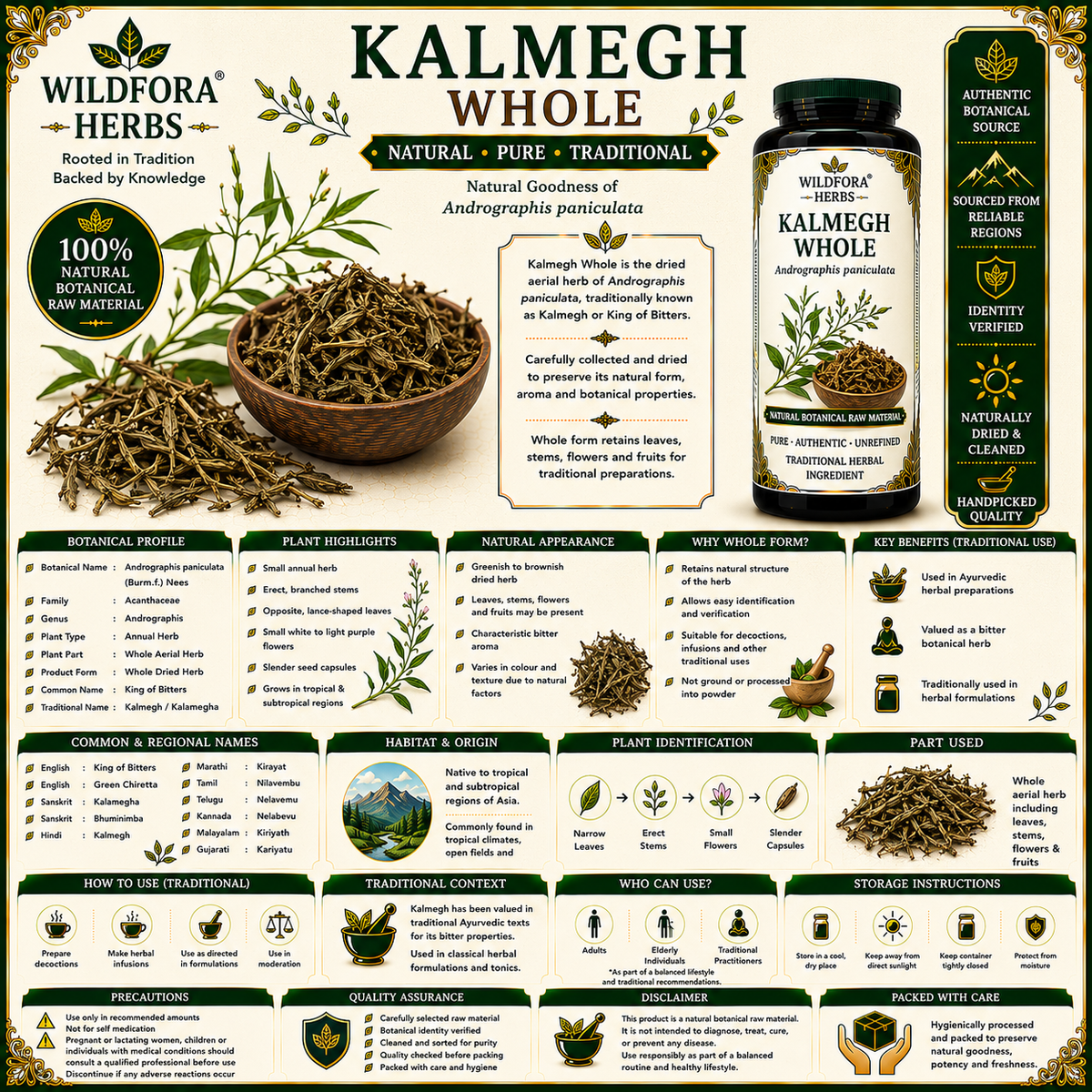 Kalmegh Whole Andrographis Paniculata Natural Herbal Plant