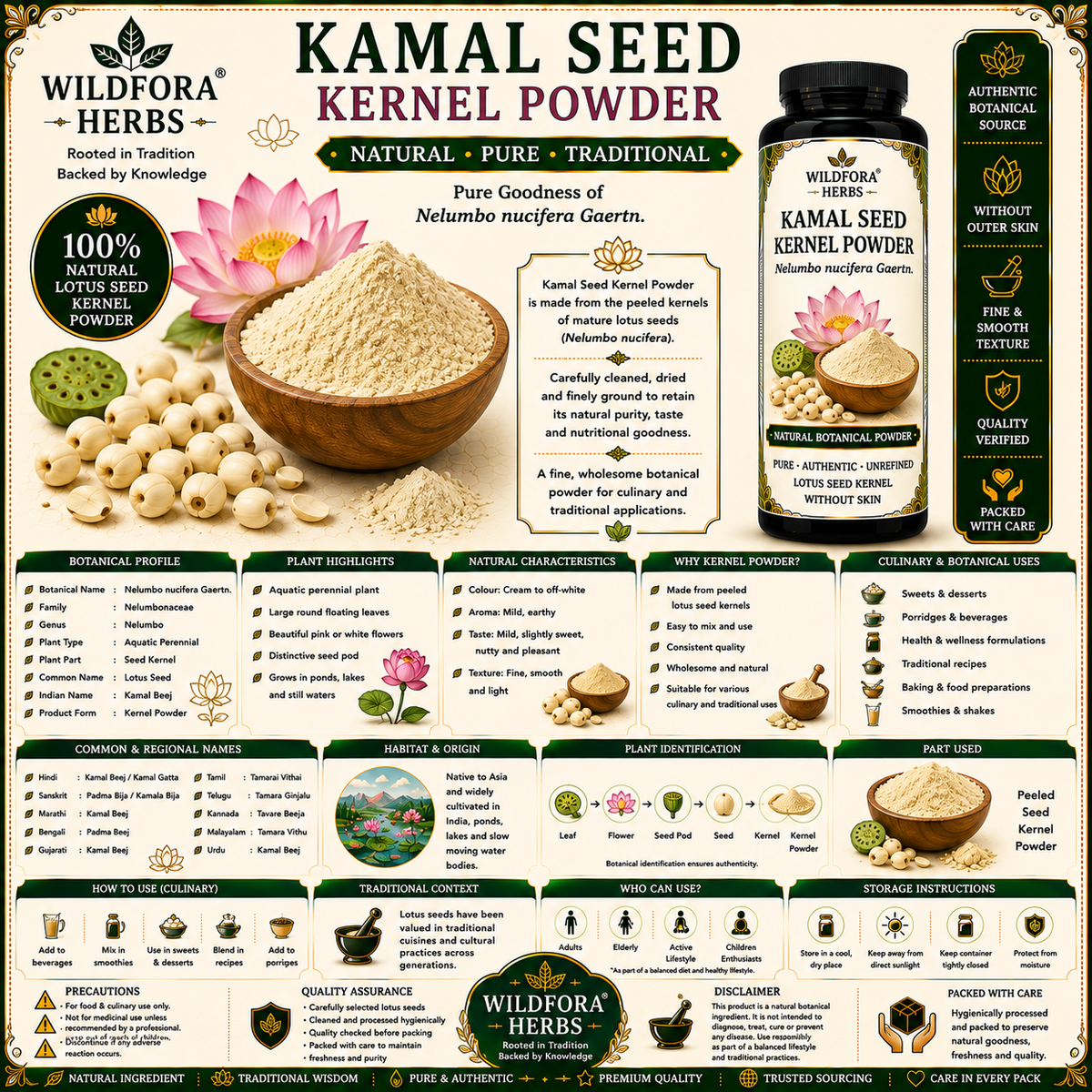 Kamal Seed kernal Powder Nelumbo Nucifera | Lotus Seed without skin Powder