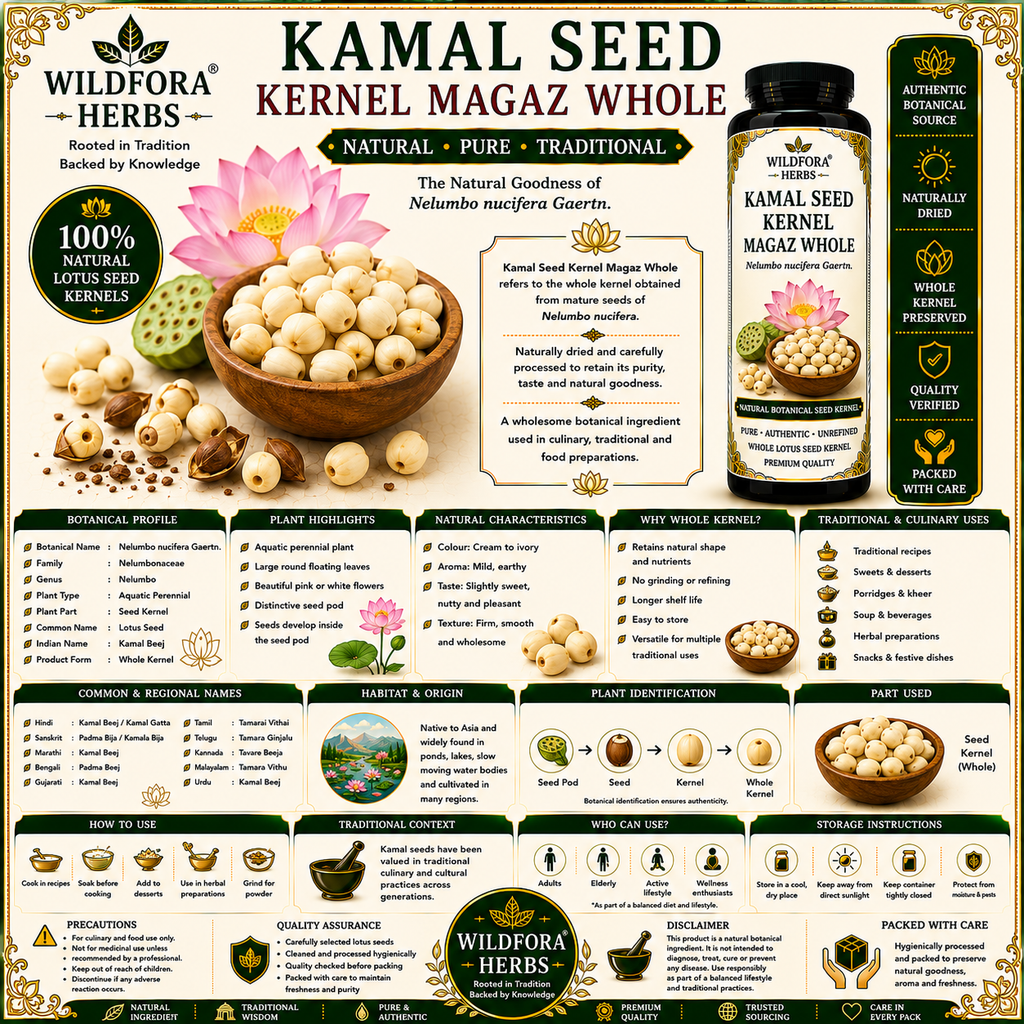 Kamal Seed kernal magaz Whole Nelumbo Nucifera Natural Lotus Seeds Kamal
