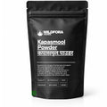 Kapasmool Powder (Gossypium herbaceum) - Premium Levant Cotton Root Powder | Botanical Raw Material