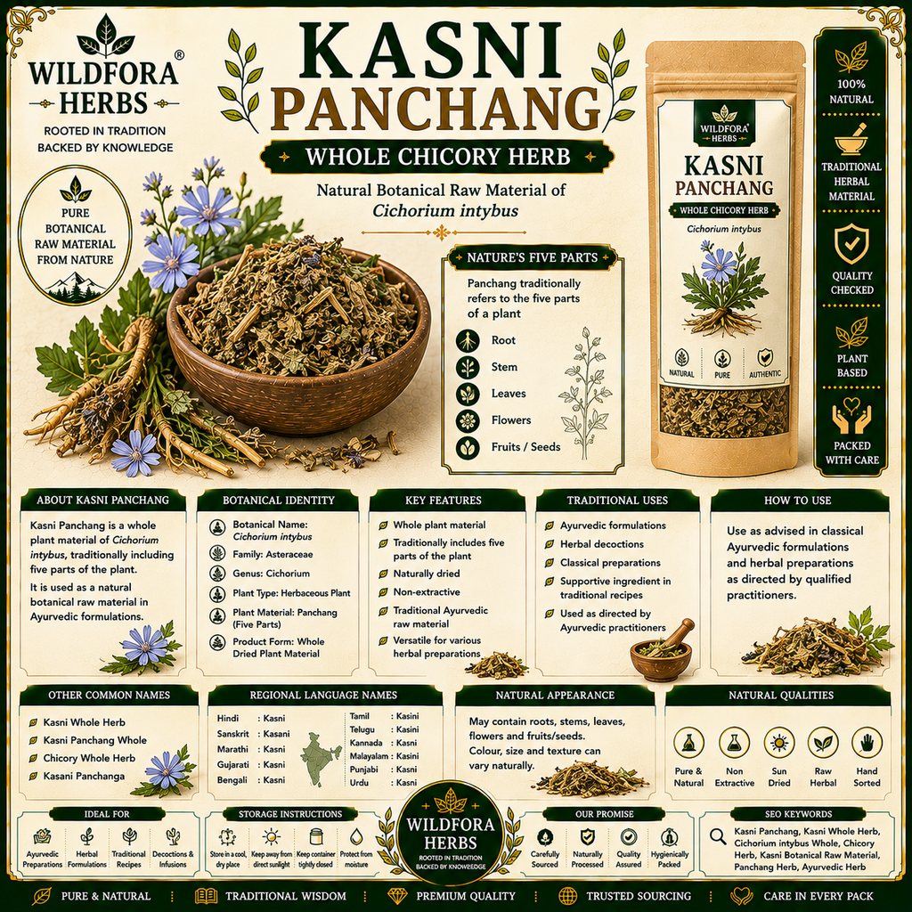 Kasni Panchang Cichorium Intybus Whole Chicory Herb Natural Raw Product