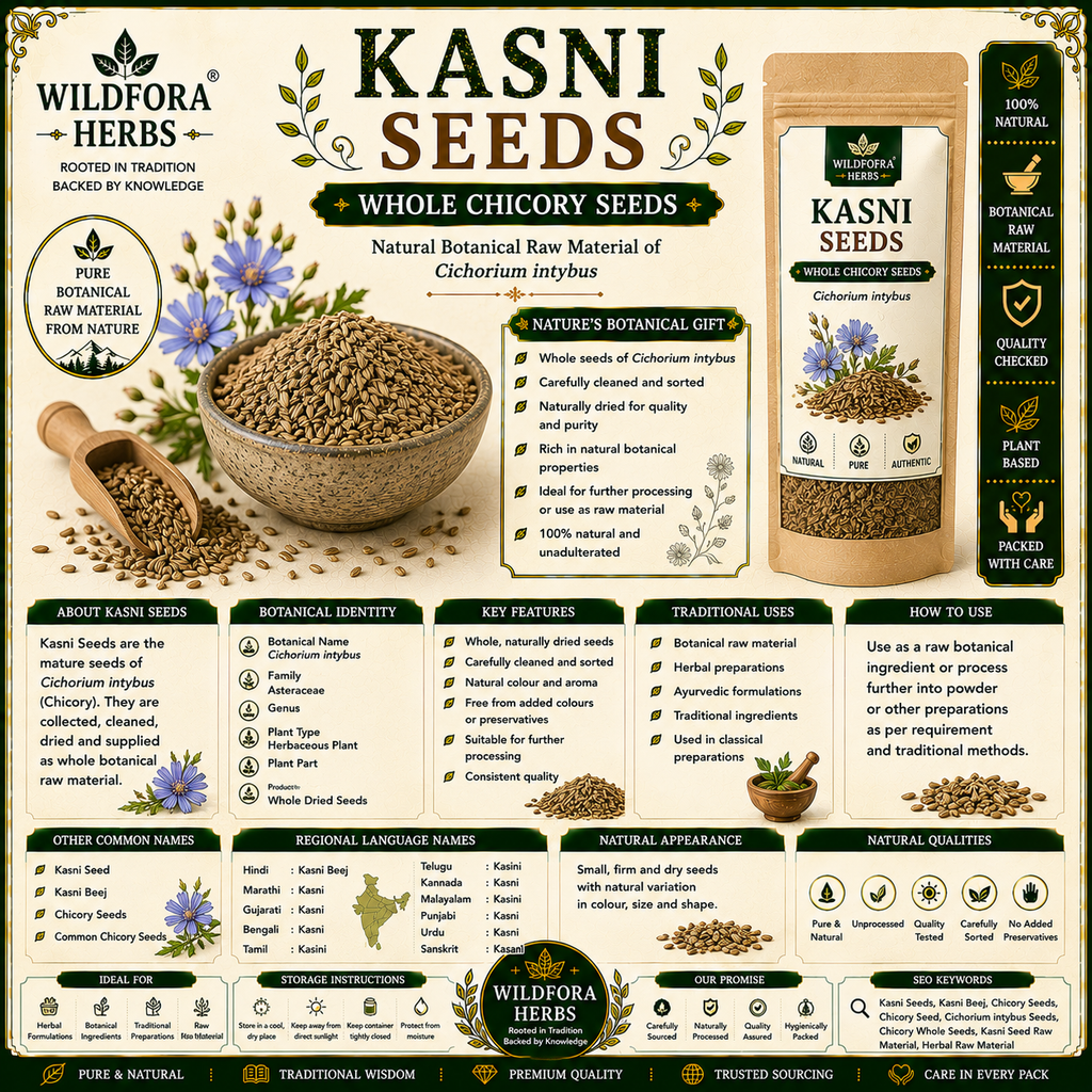 Kasni Seeds Cichorium Intybus Whole Chicory Seeds Natural Herbal Product