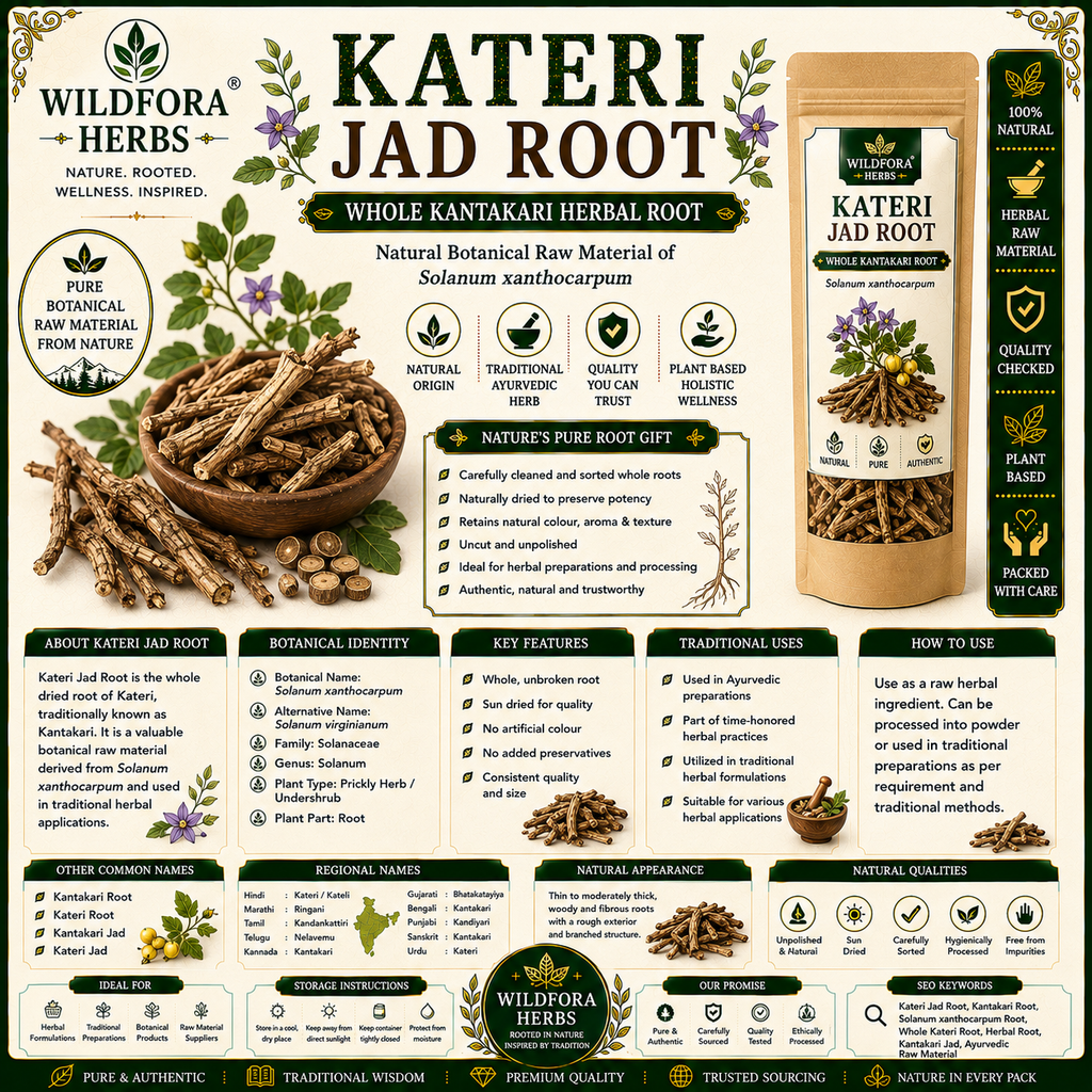 Kateri Jad Root Solanum Xanthocarpum Whole Kantakari Herbal Root