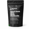 White Kaunch Seeds Whole (Mucuna pruriens) - Premium Natural White Velvet Bean Seeds | Botanical Raw Material