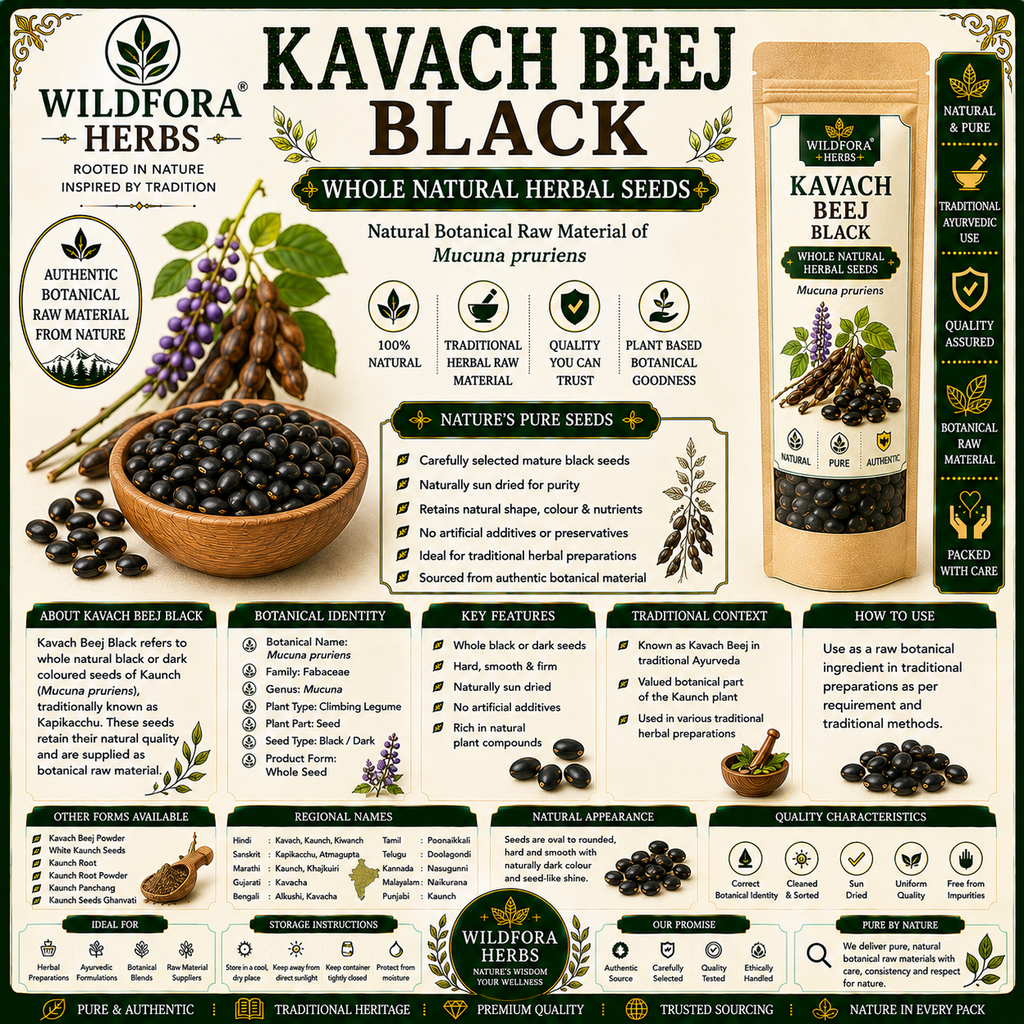 Kavach Beej Black Mucuna Pruriens Whole Natural Herbal Seeds
