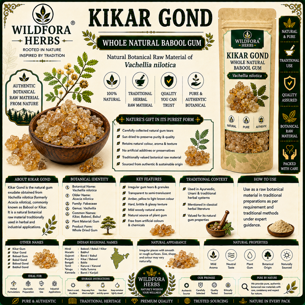 Kikar Gond Vachellia Nilotica Whole Natural Babool Gum