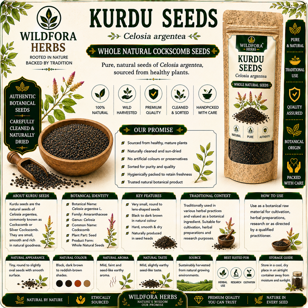 Kurdu Seeds Celosia Argentea Whole Natural Cockscomb Seeds