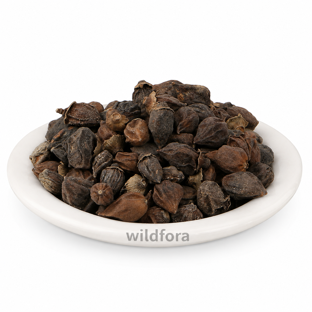 Lasoda Cordia Myxa Whole Natural Dry Fruit