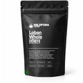 Loban Whole (Benzoin Resin) - Premium Natural Aromatic Resin | Traditional Natural Raw Material