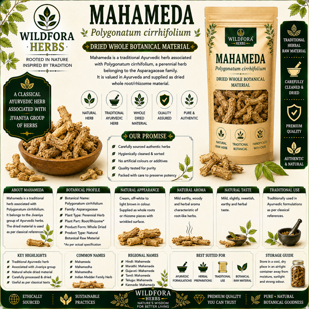 Mahameda Polygonatum Cirrhifolium Dried Whole