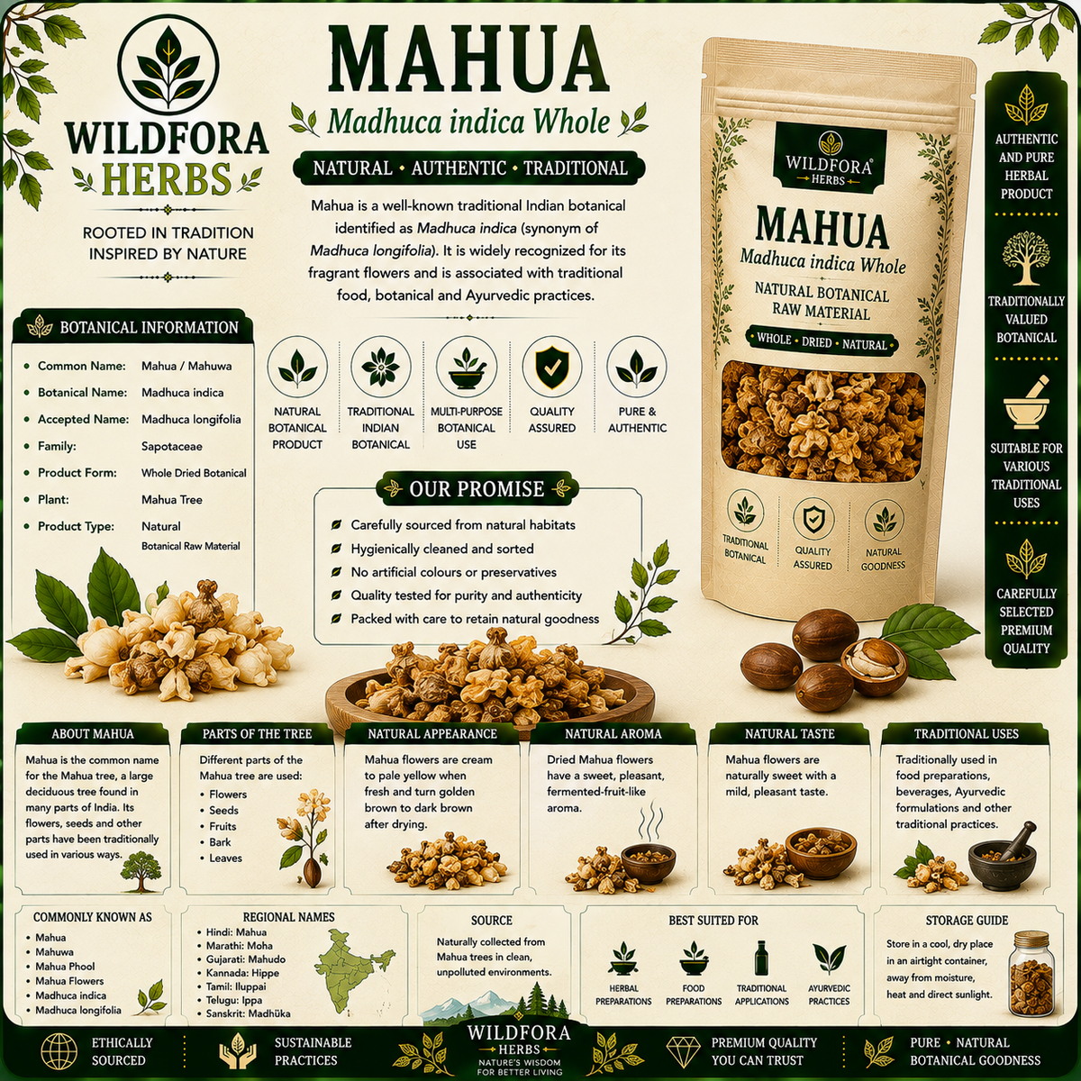 Mahua Madhuca Indica Whole