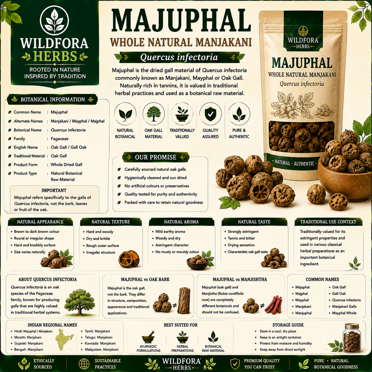 Majuphal Quercus Infectoria Whole Natural Manjakani