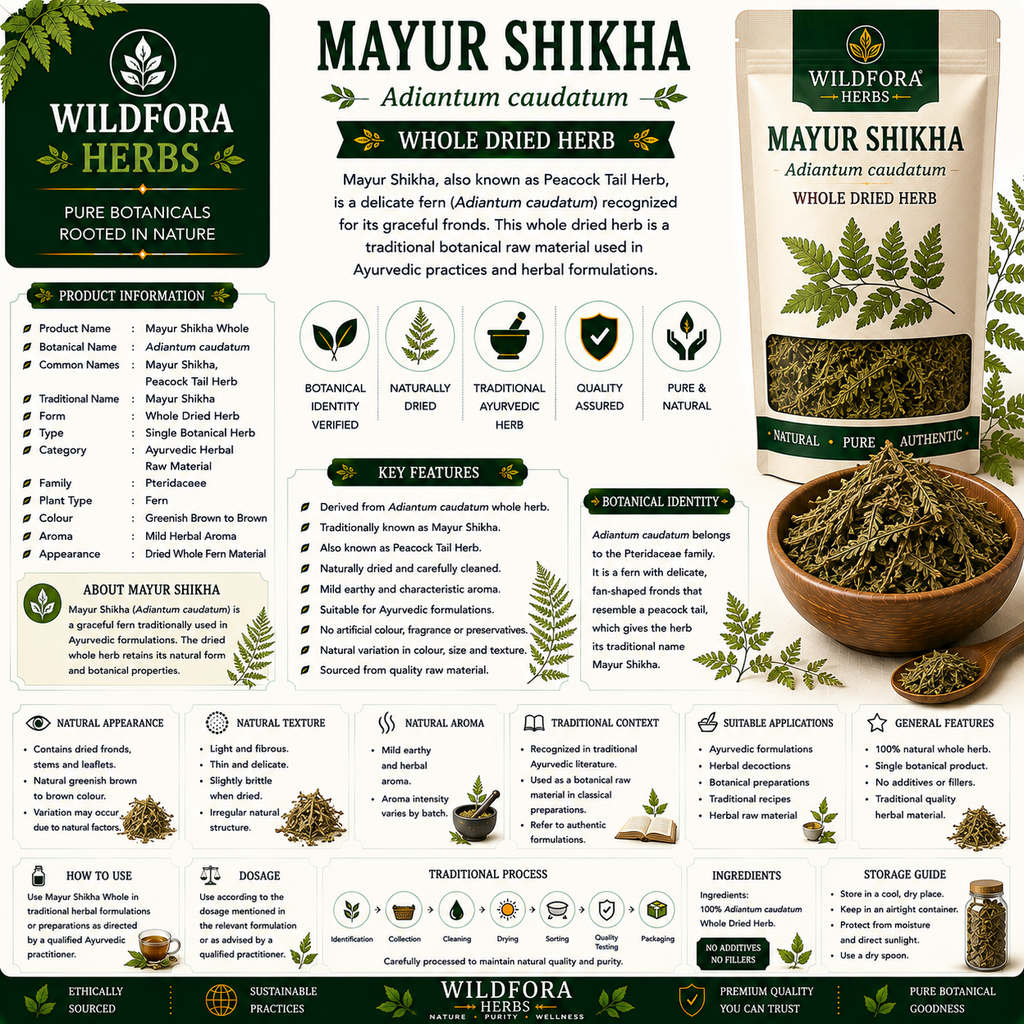 Mayur Shikha Adiantum Caudatum Whole Natural Peacock Tail Herb