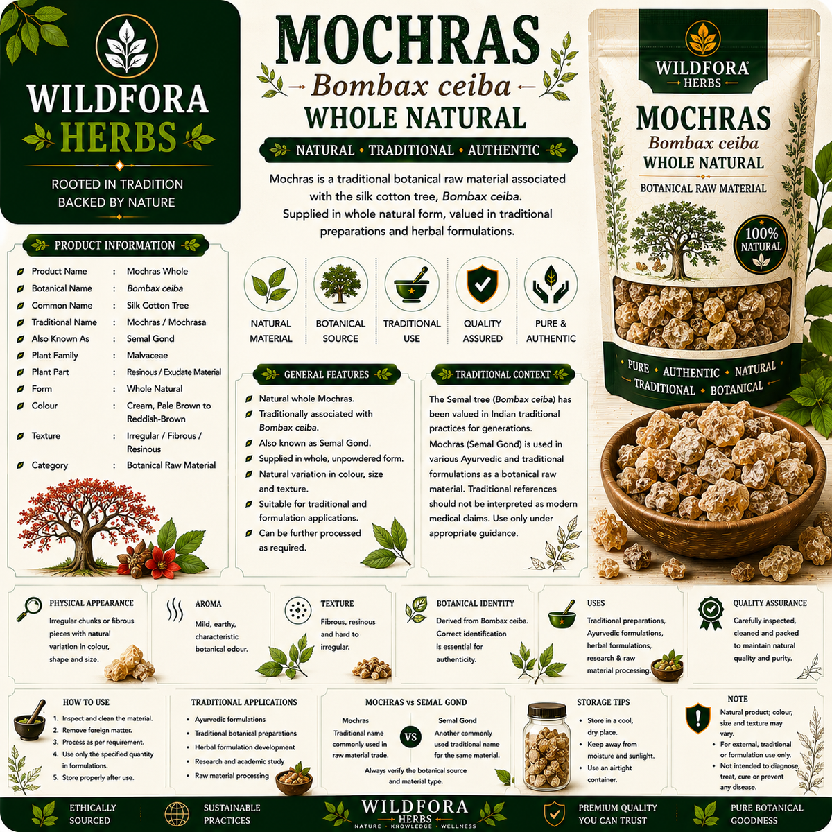 Mochras Bombax Ceiba Whole Natural Gond Mochras Phool Supari
