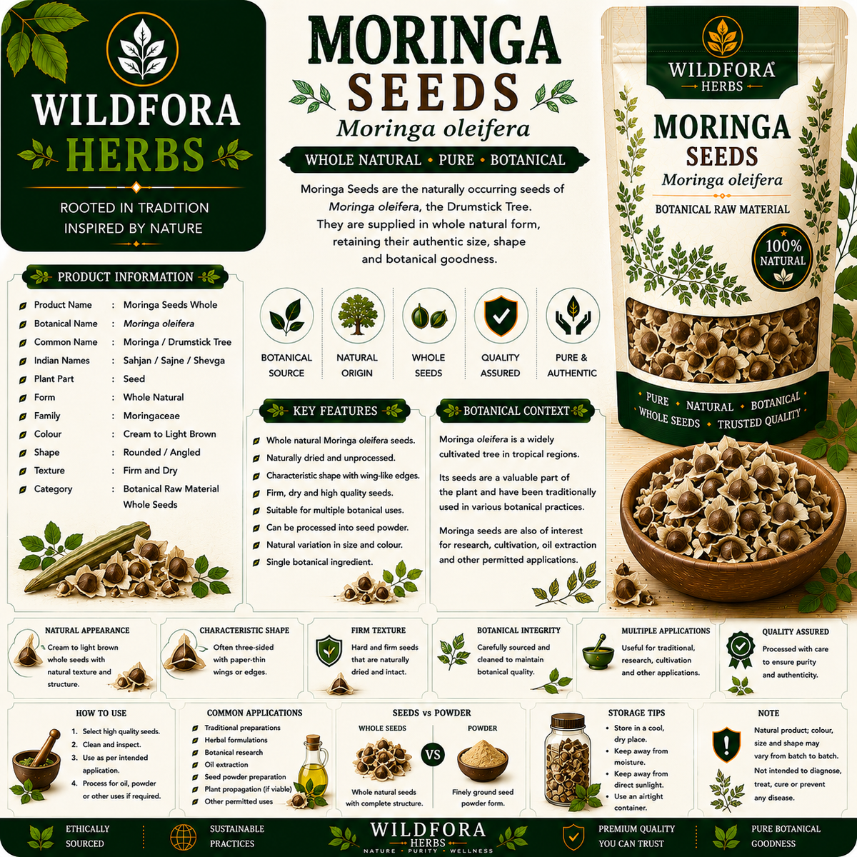 Moringa Seeds Moringa Oleifera Whole Natural Drumstick Tree Seeds