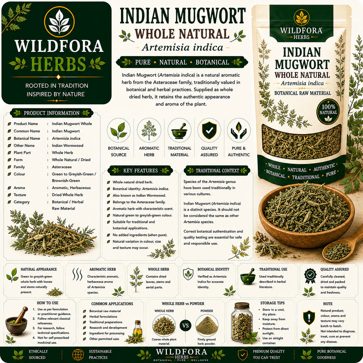 Mugwort Indian Mugwort Artemisia Indica Whole Natural Mugwort Herb