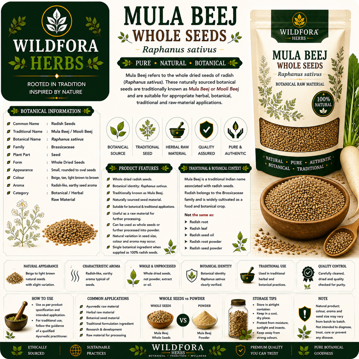 Mula Beej Radish Seeds (Raphanus Sativus) Whole