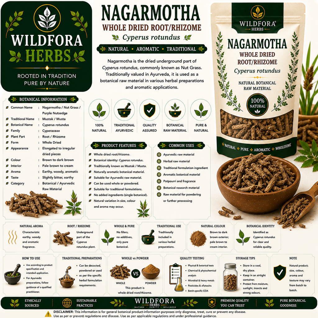 Nagarmotha Cyperus Rotundus Whole Natural Sedge Root