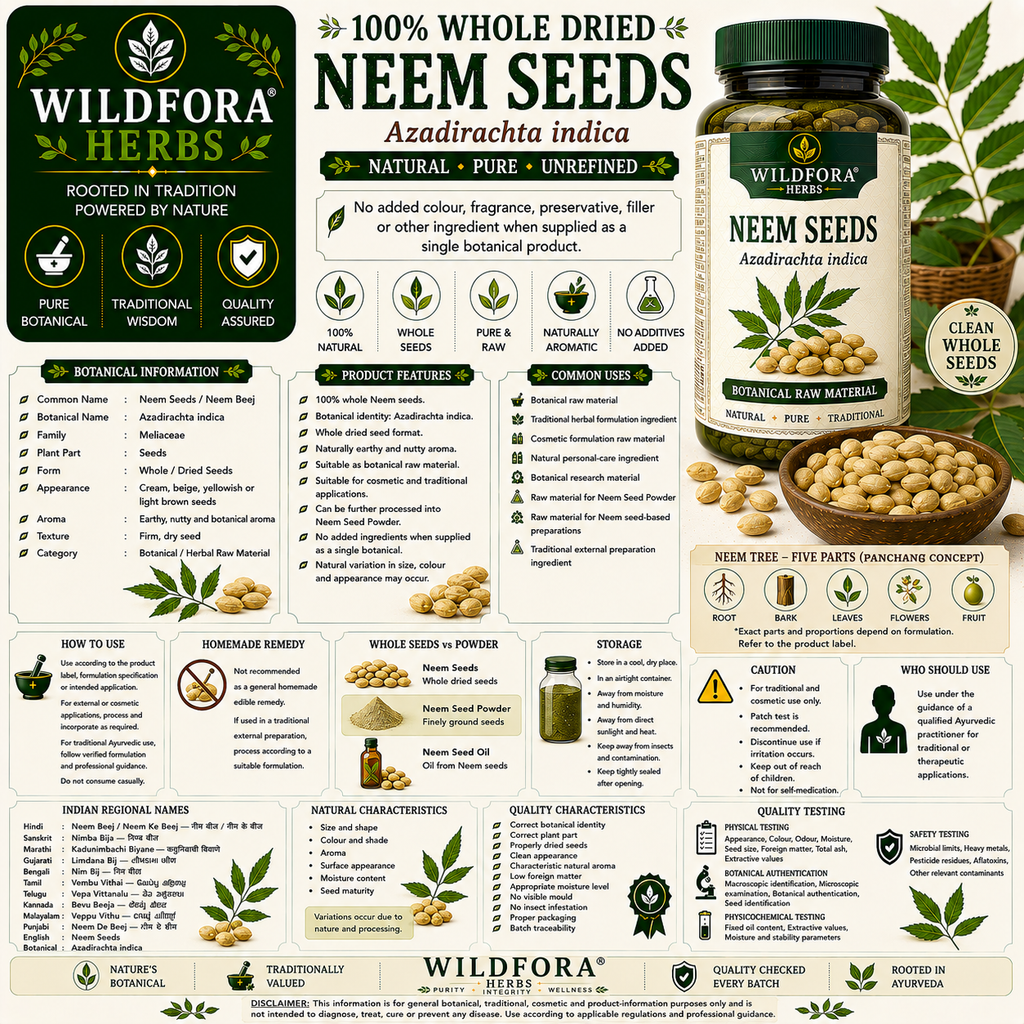 Neem Seeds Azadirachta Indica Whole Natural Neem Beej