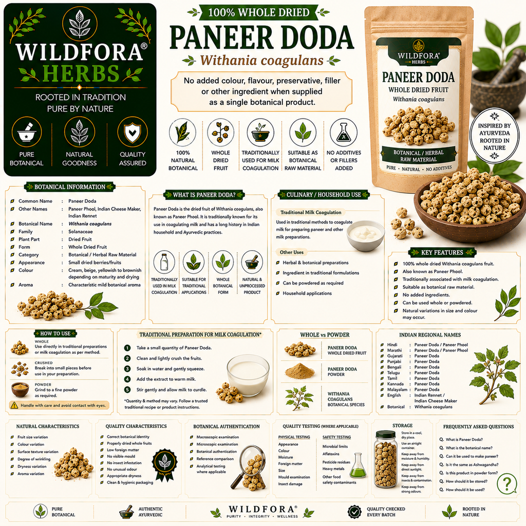 Paneer Doda Withania Coagulans Whole Natural Paneer Phool