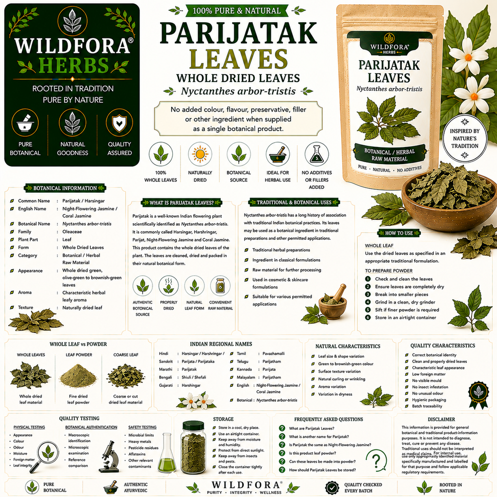 Parijatak Leaves Whole Nyctanthes Arbor Tristis Night Jasmine Leaf
